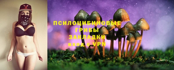 соль ск Алзамай