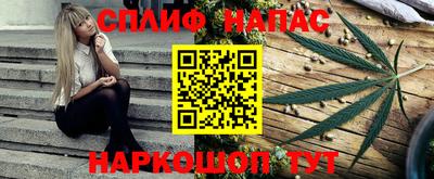 apvp Канаш