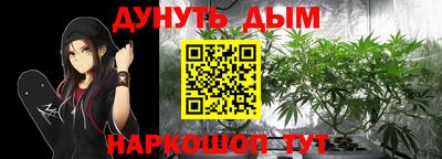 apvp Канаш