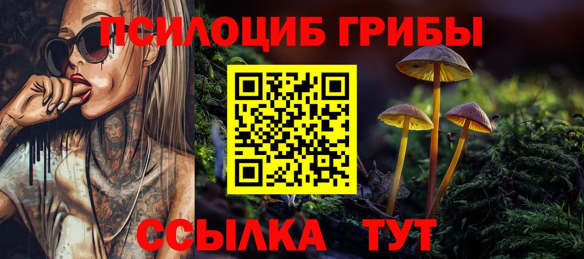 Галлюциногенные грибы MAGIC MUSHROOMS  Вход с VPN  купить наркотик  Калининград 