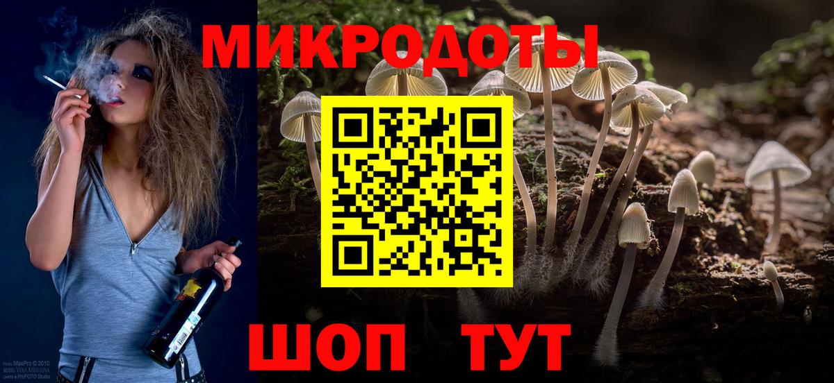 Галлюциногенные грибы Magic Shrooms Калининград